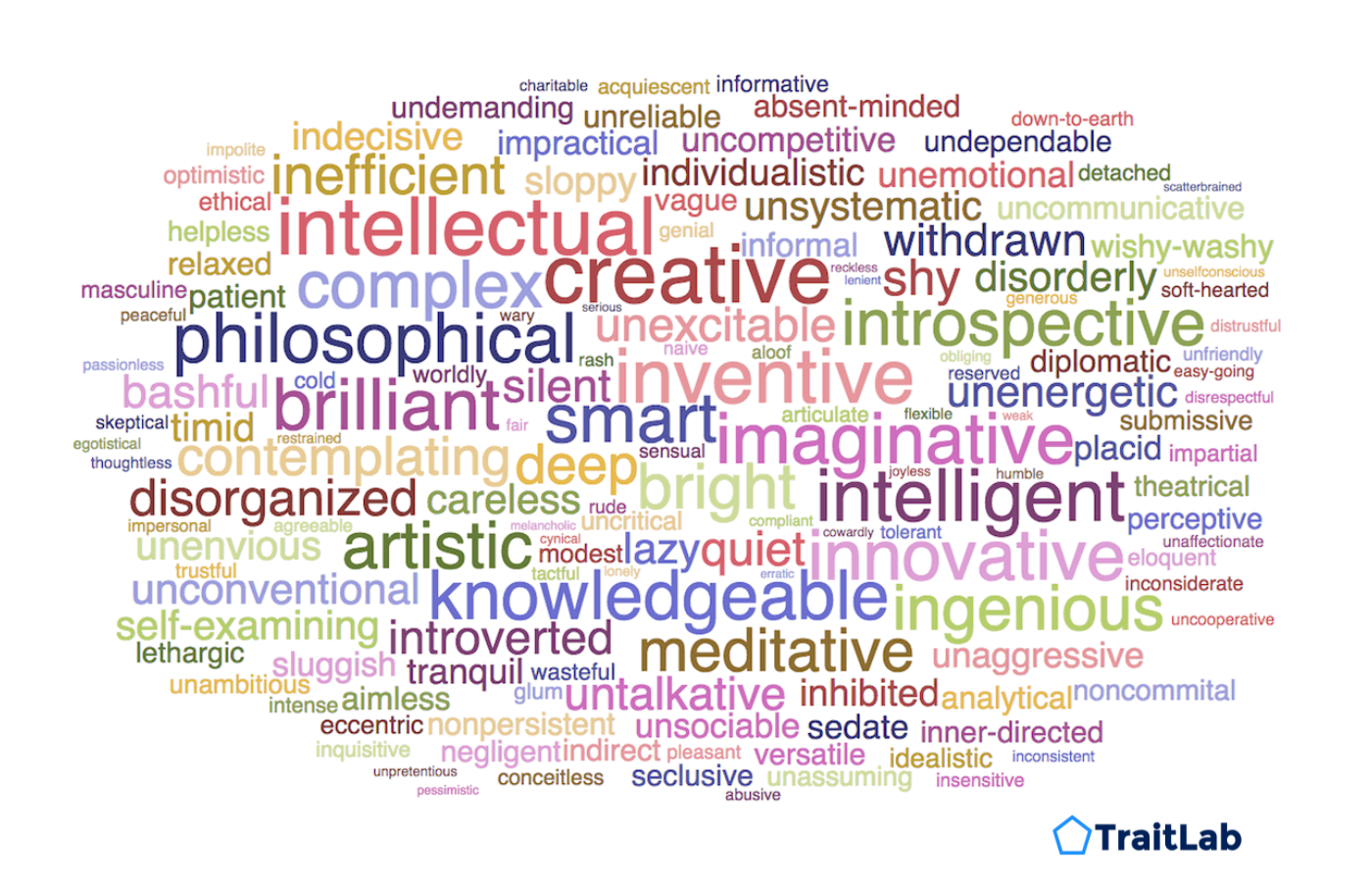 A wordcloud visualization showing up to 100 words describing a personality.