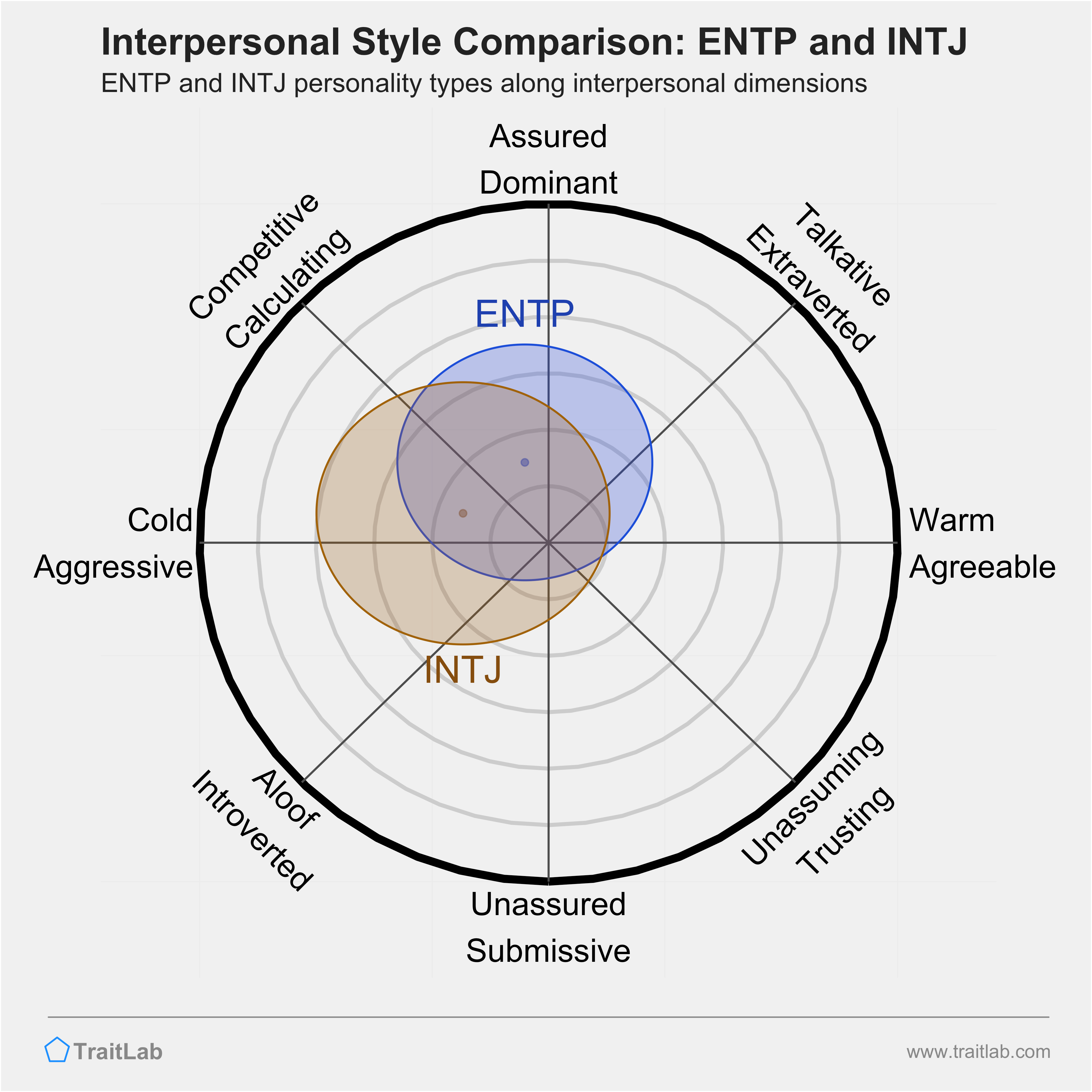 ENTP & INTJ Synergy and Why They Might Be Attracted to Each Other