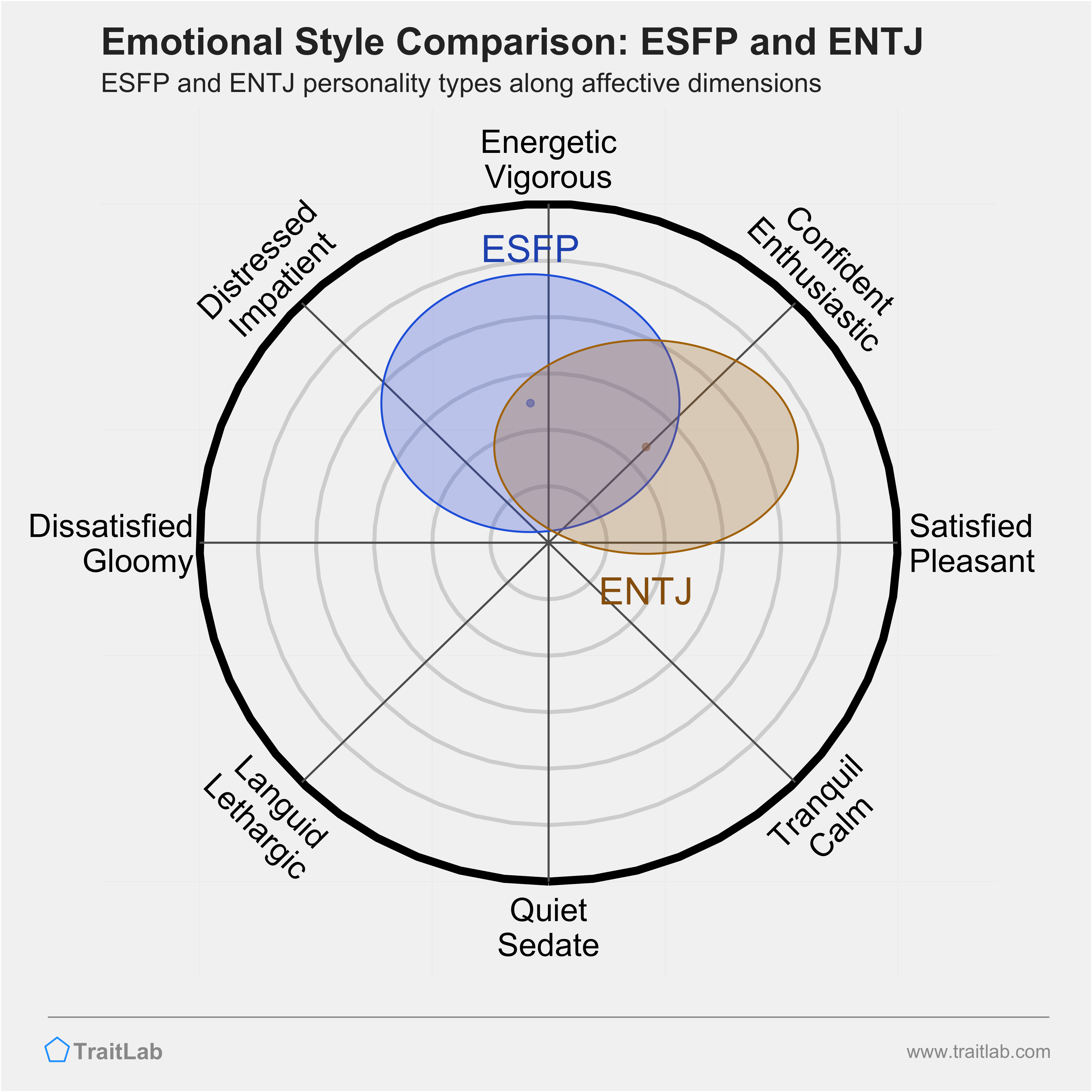 ESFP and ENTJ Compatibility: Relationships, Friendships, and Partnerships