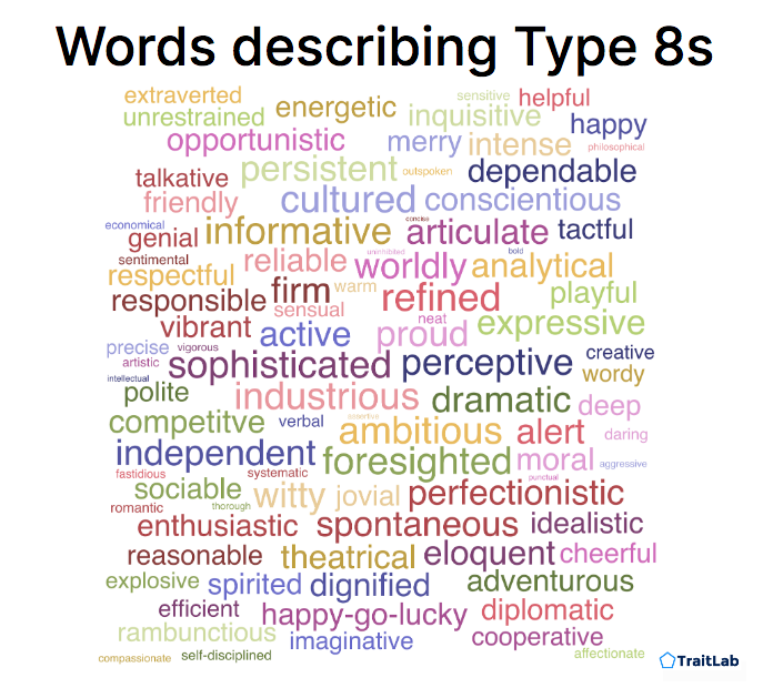 Words to describe the Enneagram Type 8