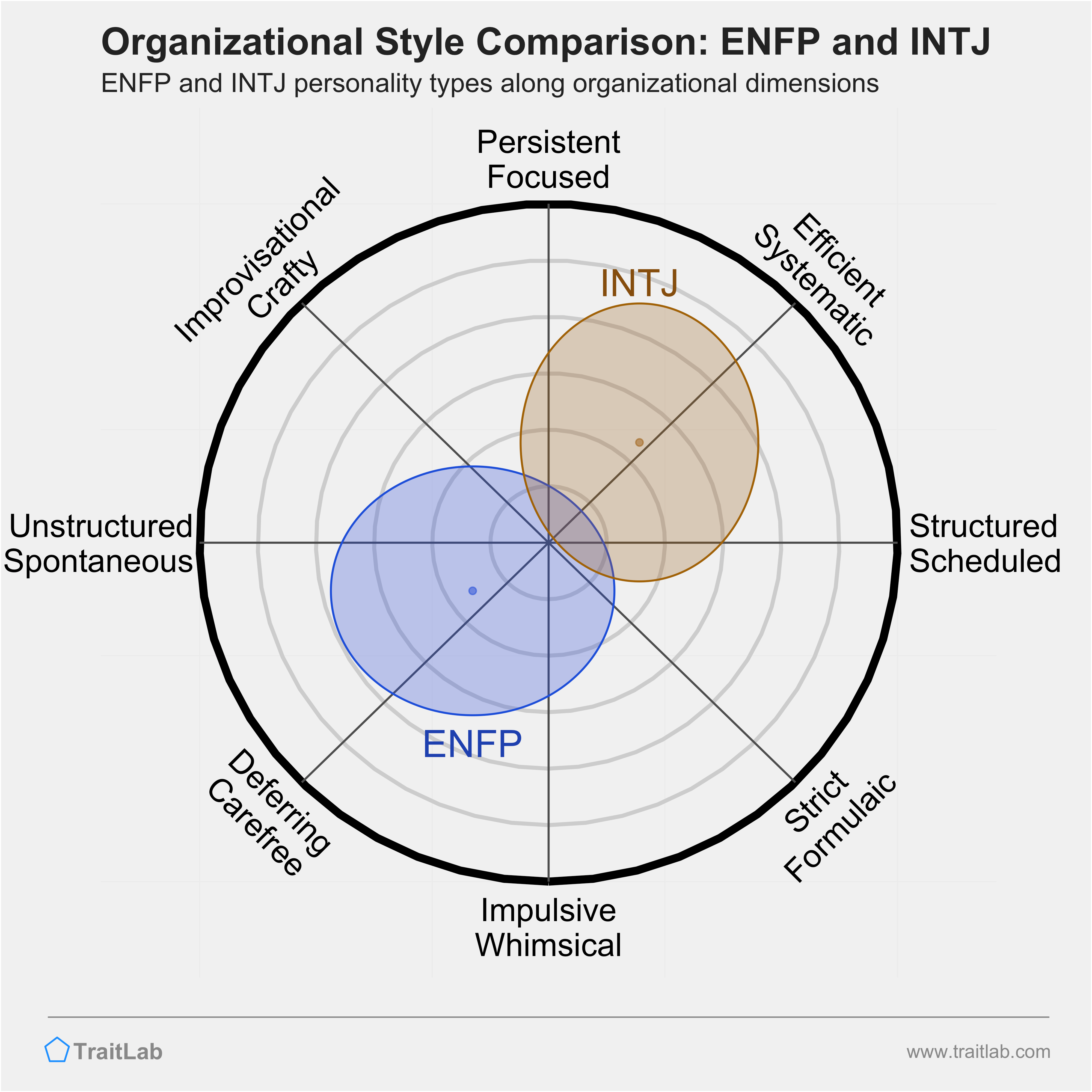 ENFP and INTJ comparison across organizational dimensions
