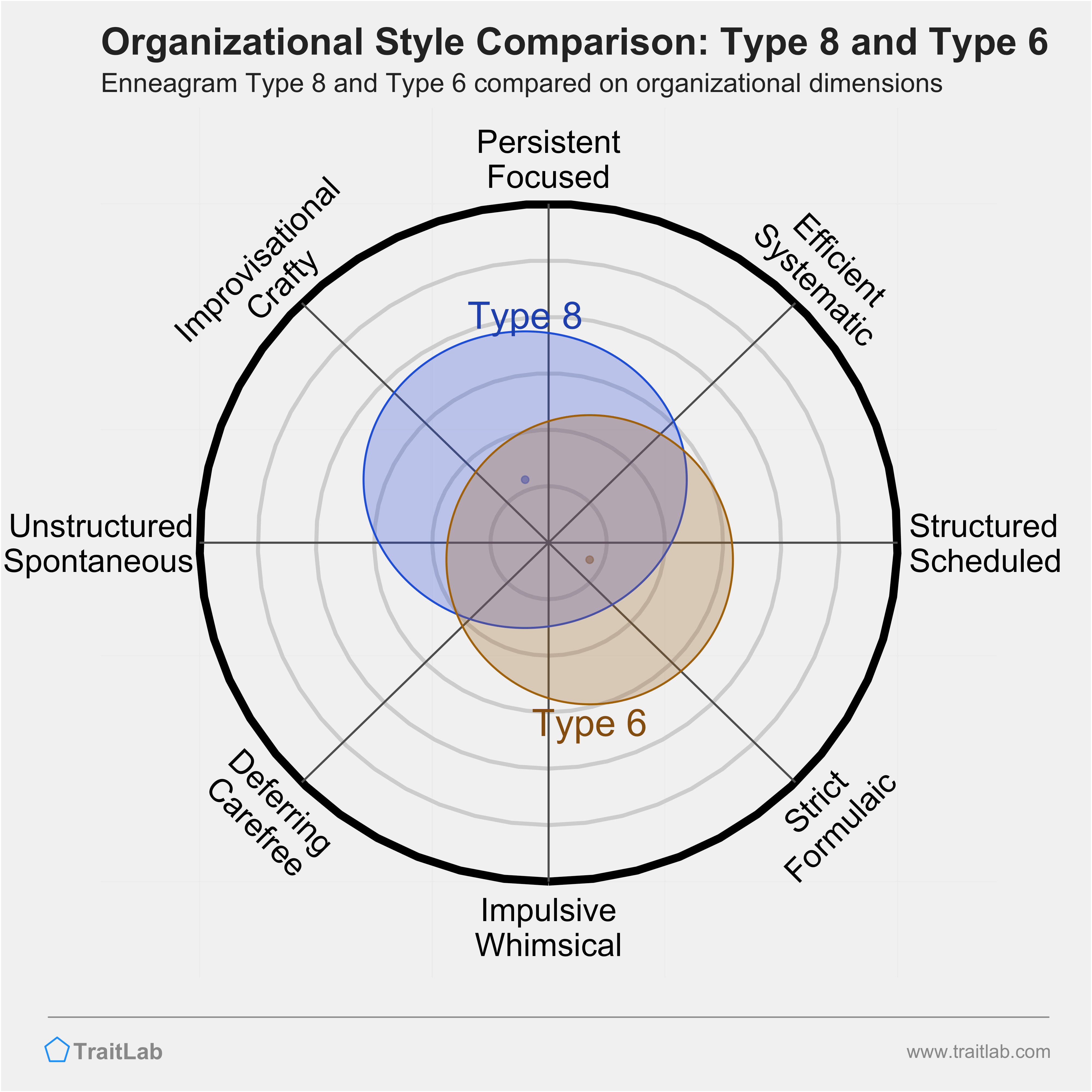 Type 8 and Type 6 comparison across organizational dimensions