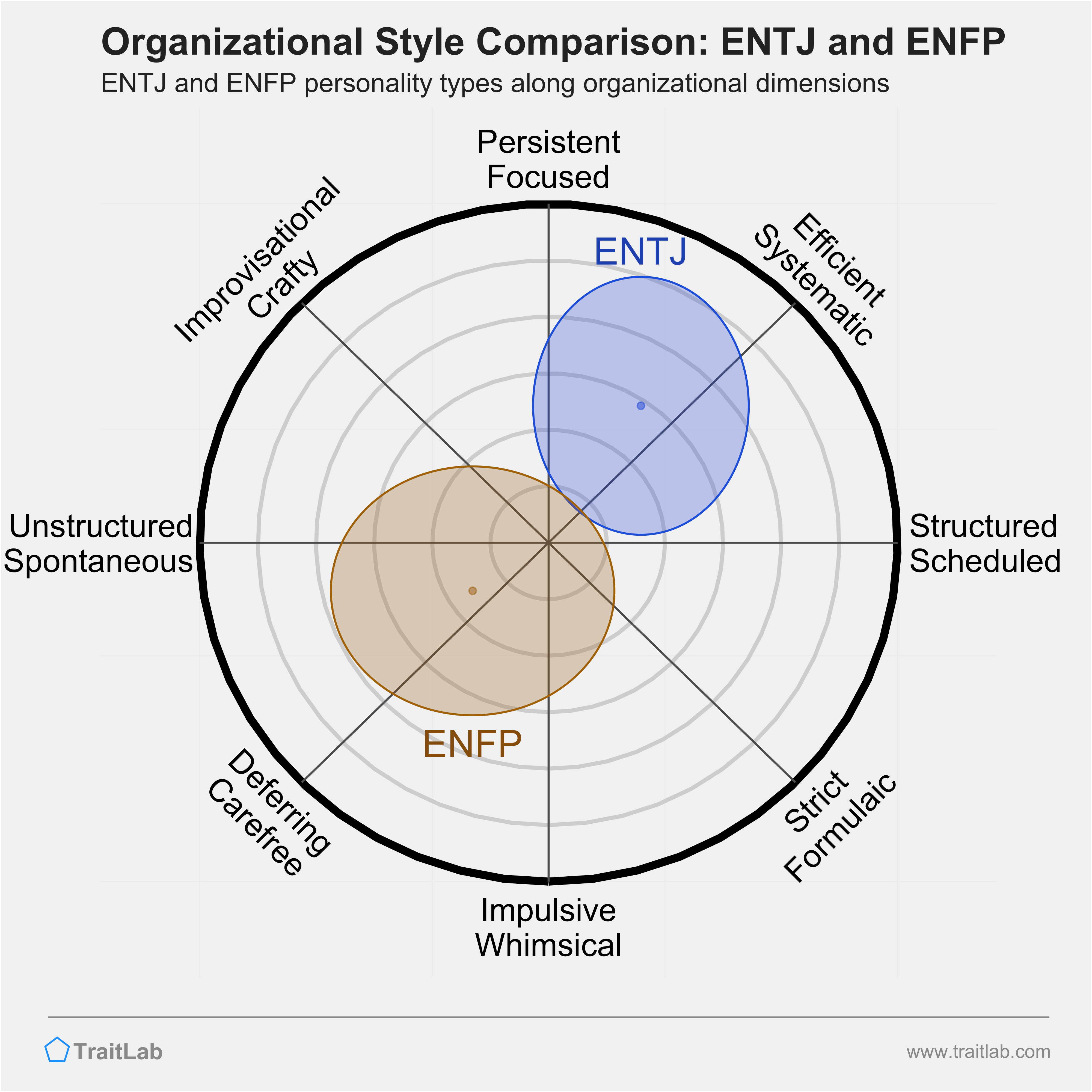 ENTJ and ENFP comparison across organizational dimensions