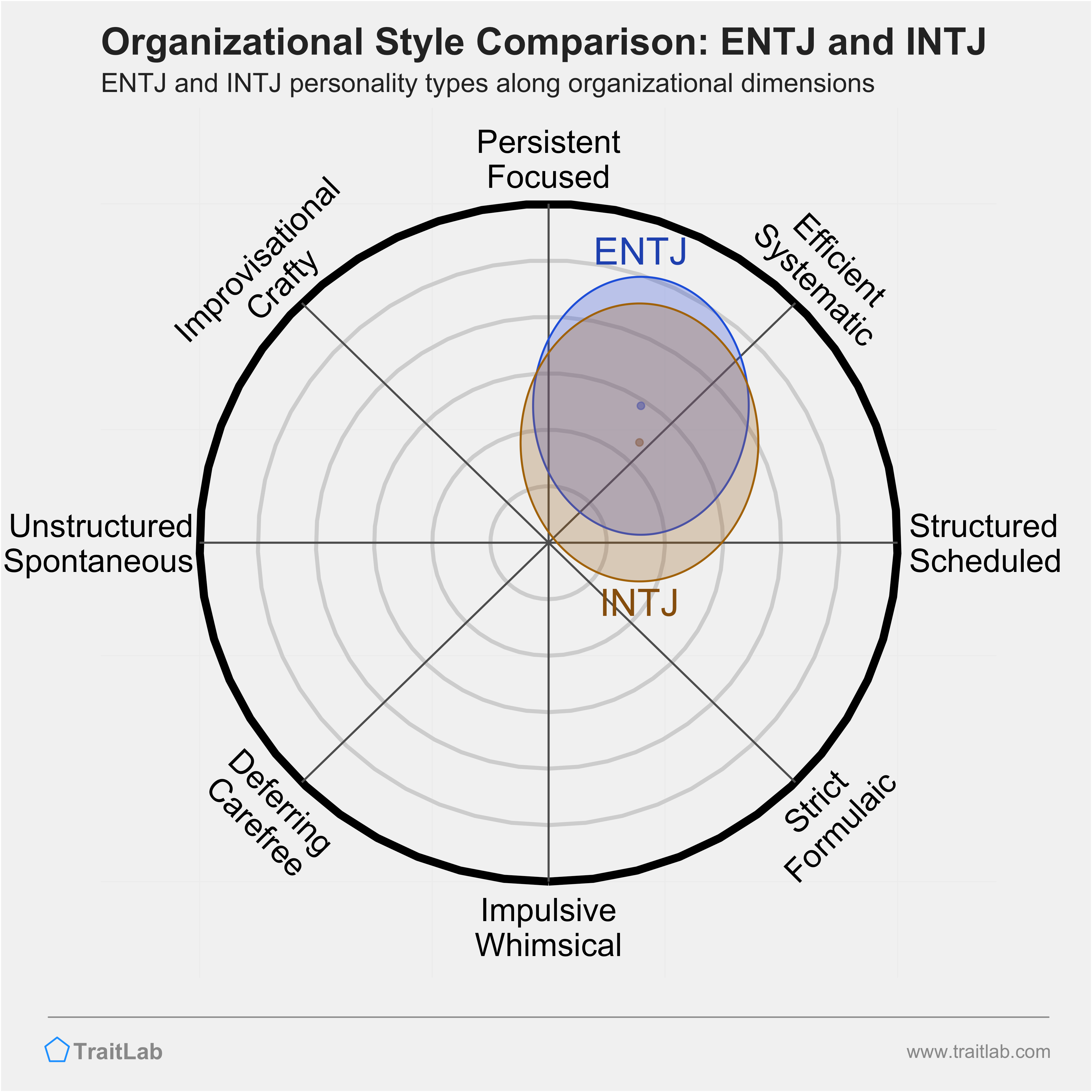 ENTJ and INTJ comparison across organizational dimensions