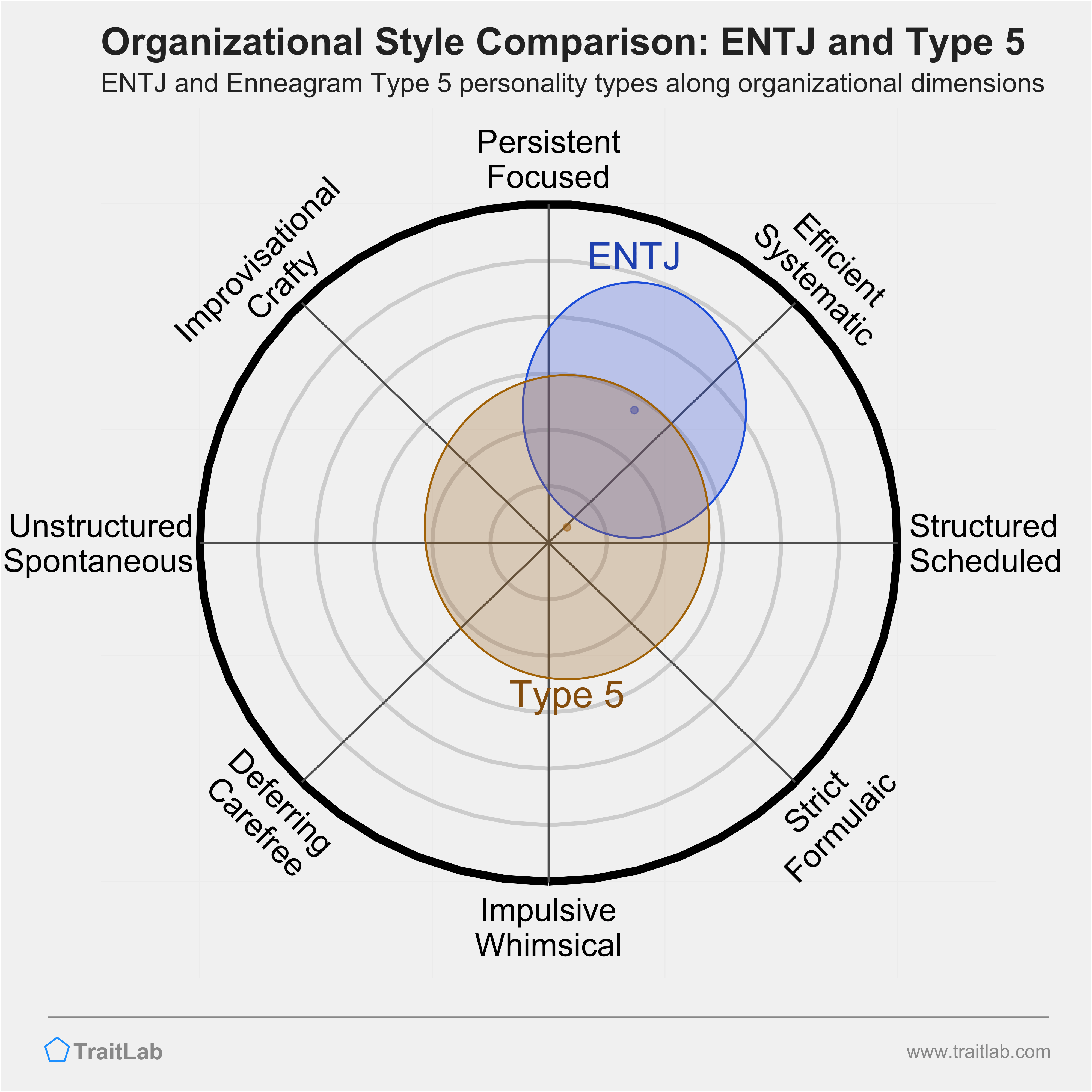 ENTJ and Type 5 comparison across organizational dimensions
