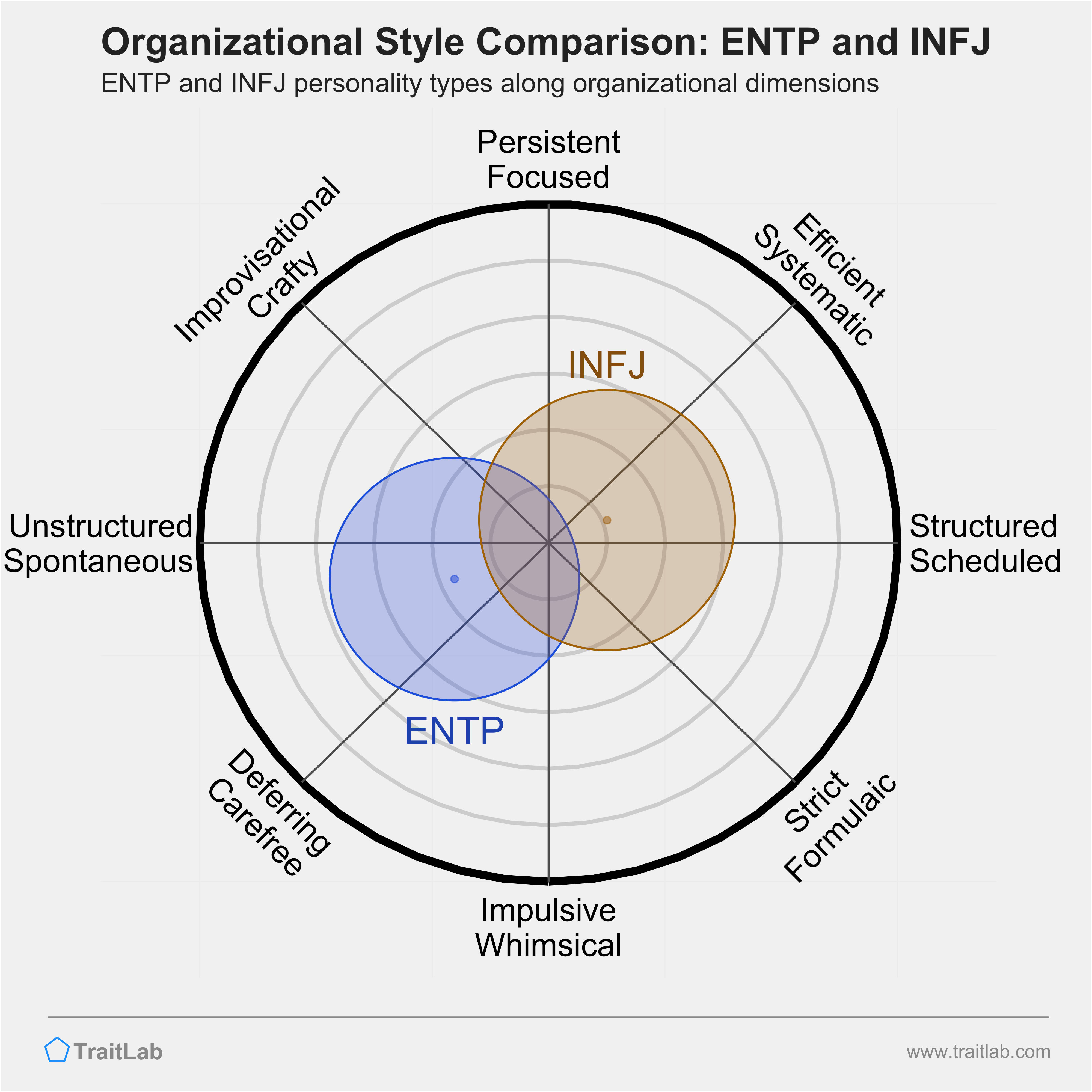 ENTP and INFJ comparison across organizational dimensions