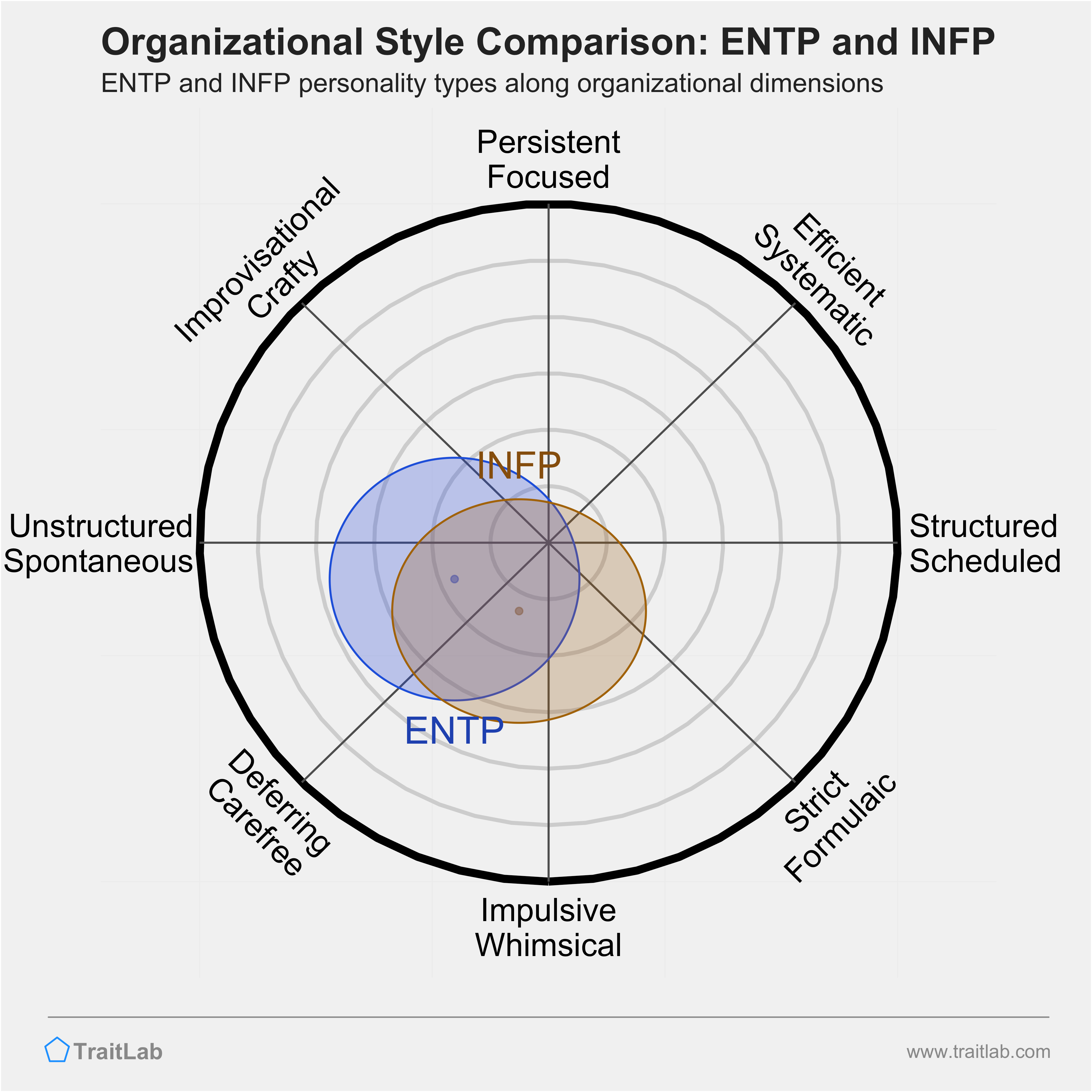 ENTP and INFP comparison across organizational dimensions