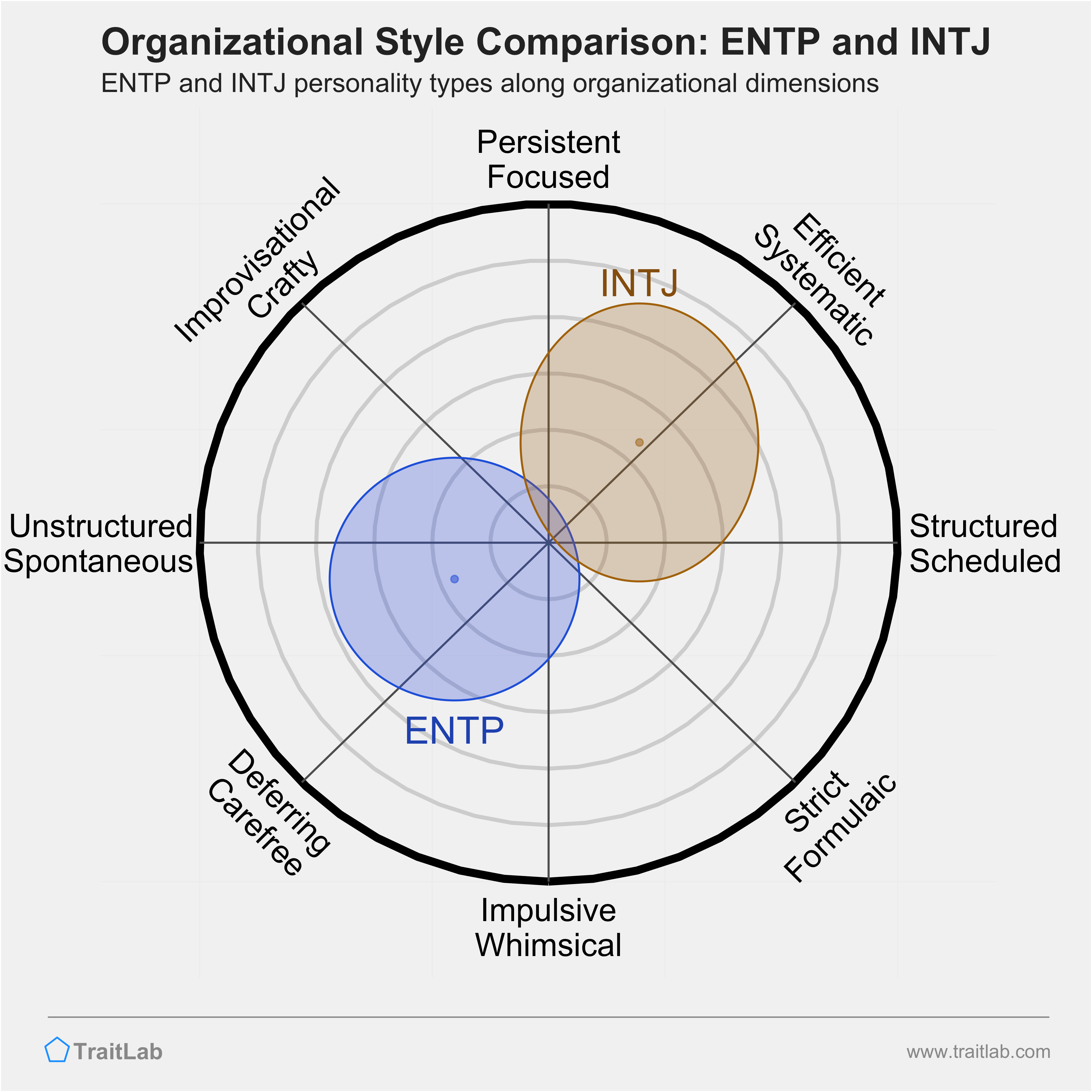 ENTP & INTJ Synergy and Why They Might Be Attracted to Each Other