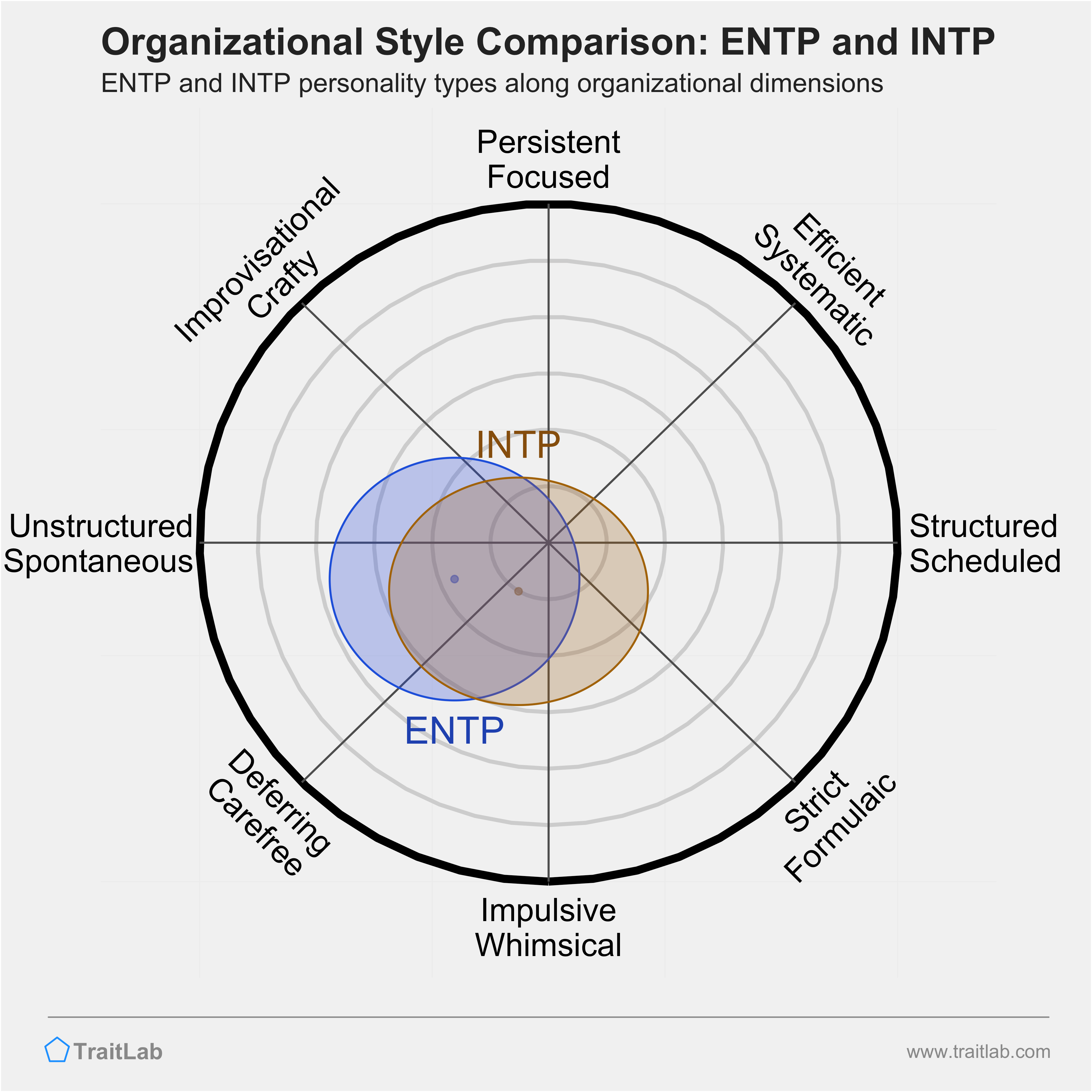 ENTP and INTP comparison across organizational dimensions