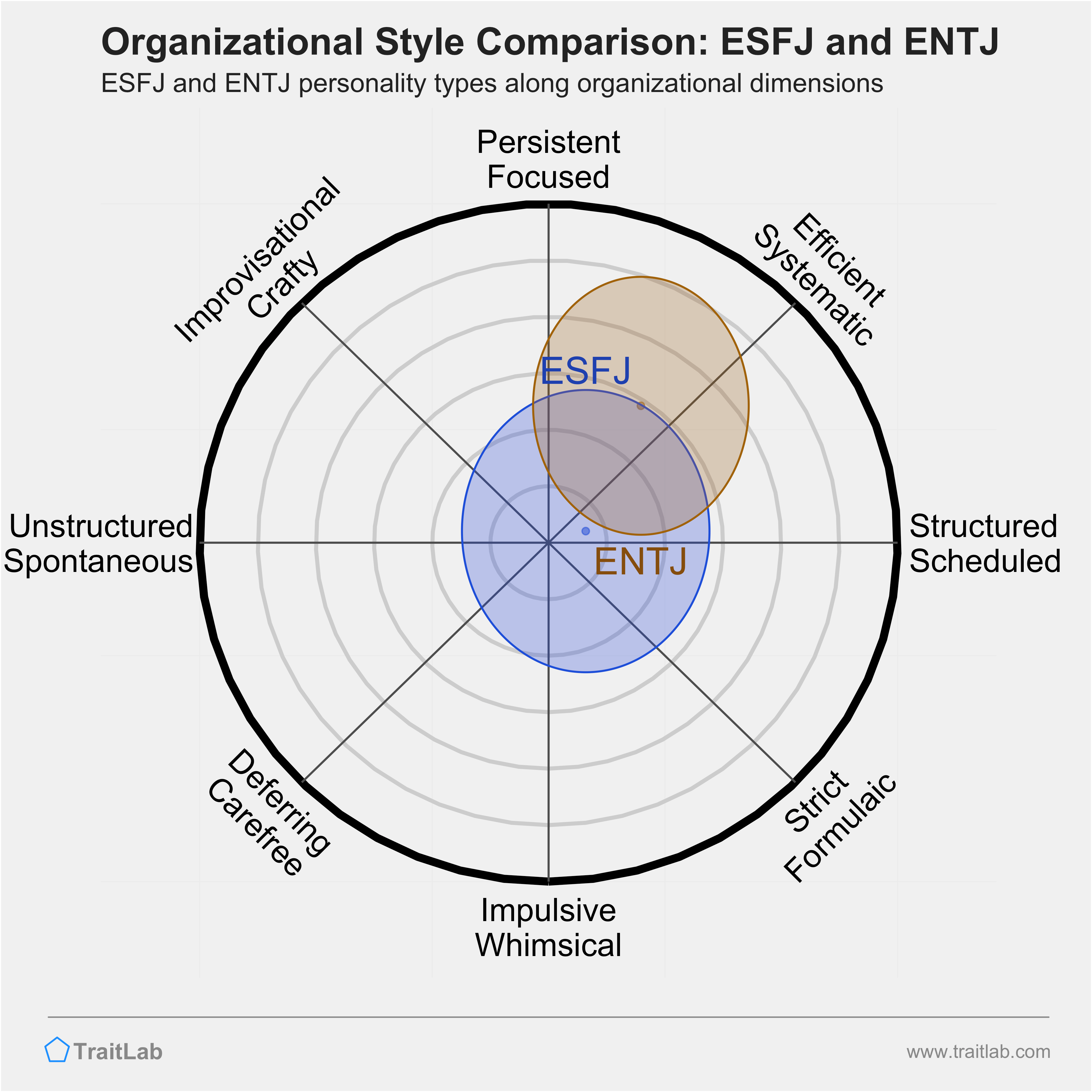 ESFJ and ENTJ comparison across organizational dimensions