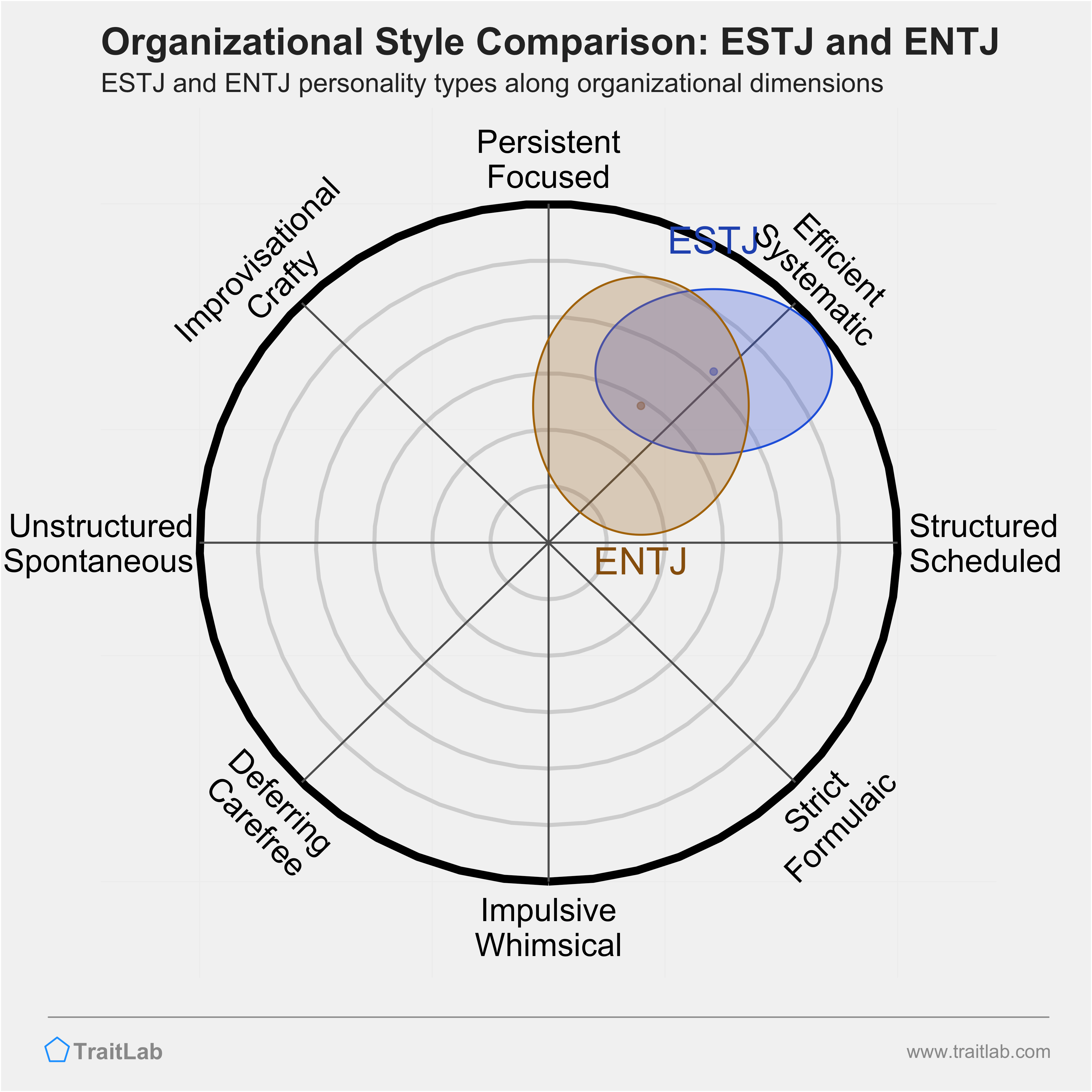 ESTJ and ENTJ comparison across organizational dimensions