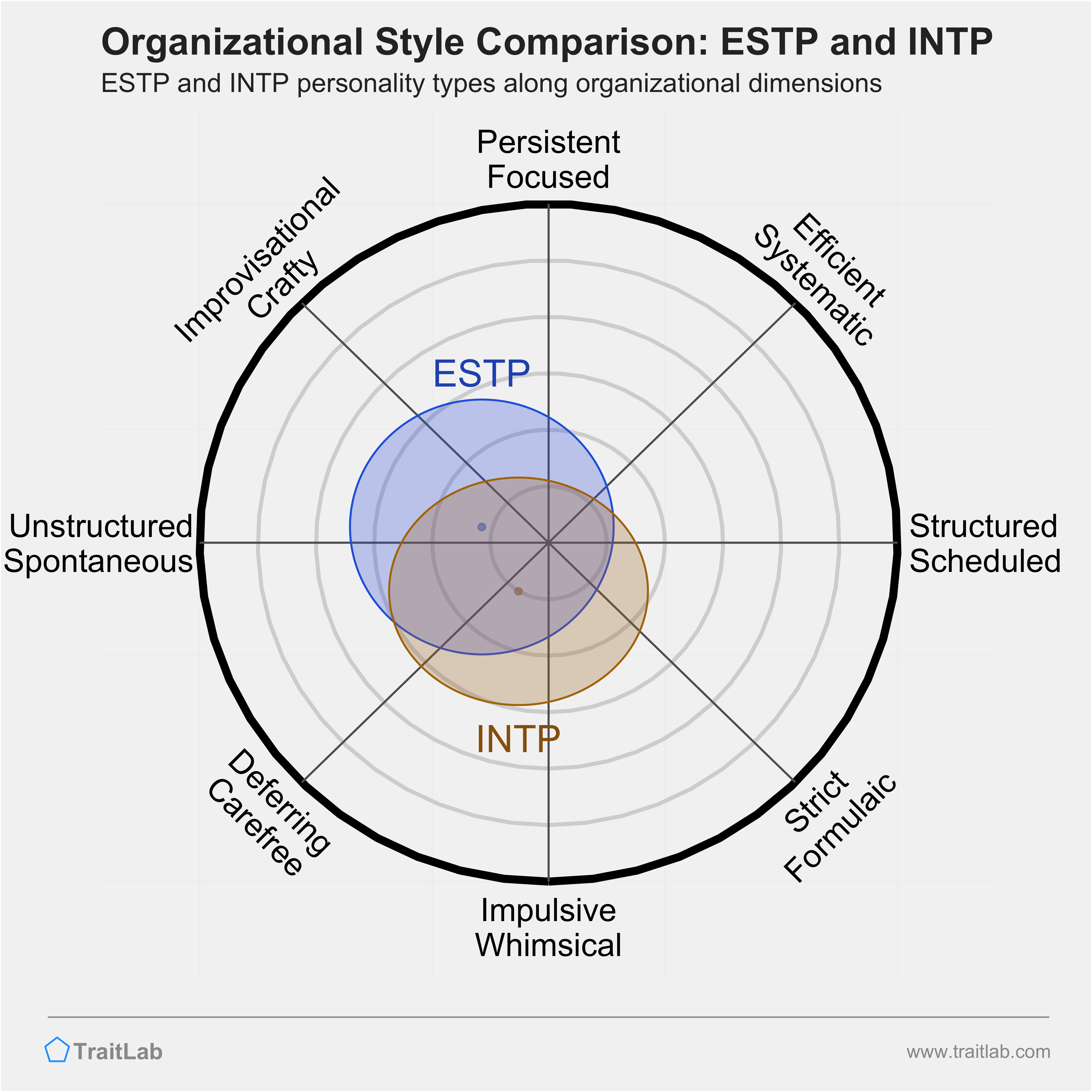 ESTP and INTP comparison across organizational dimensions