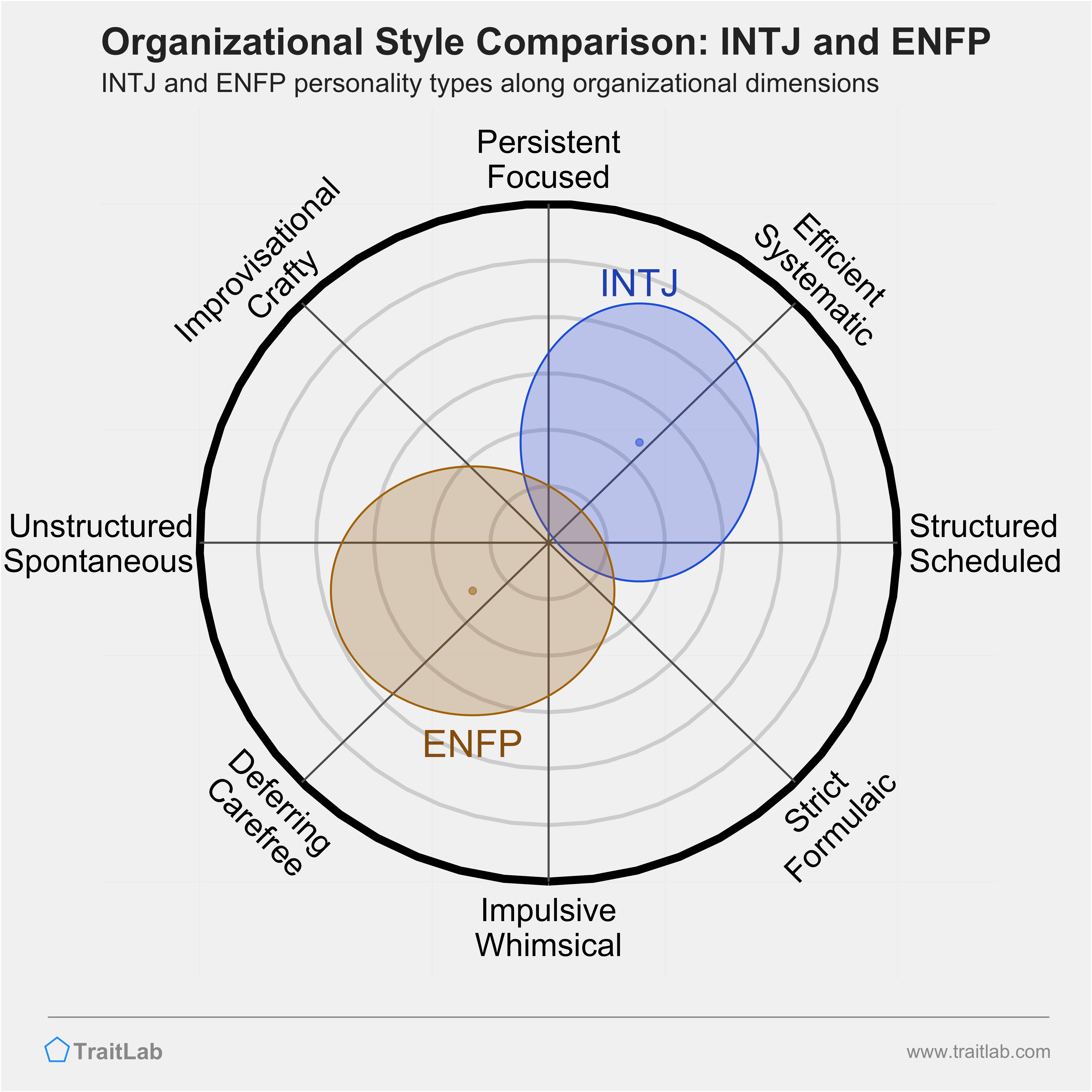 INTJ and ENFP comparison across organizational dimensions