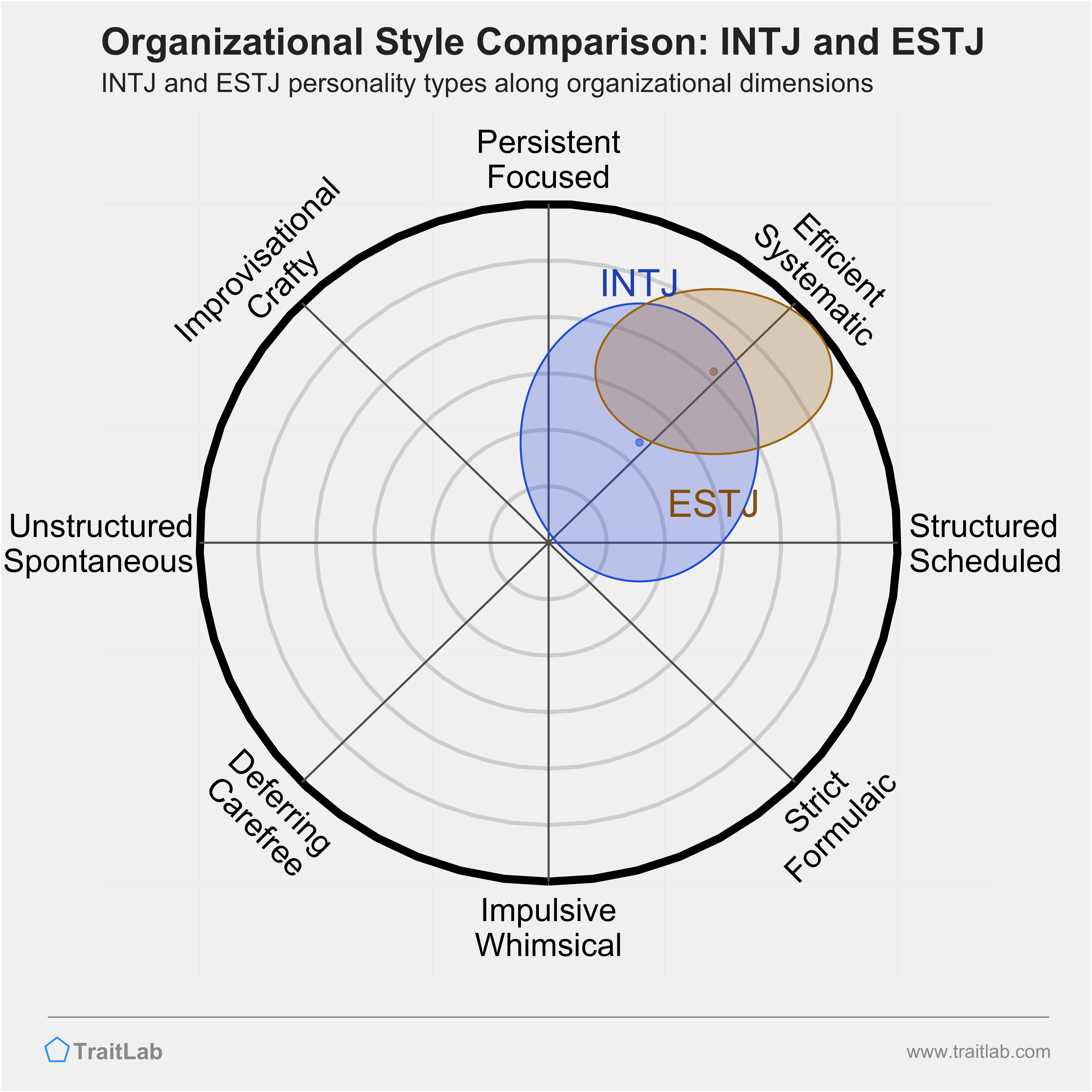 INTJ and ESTJ comparison across organizational dimensions