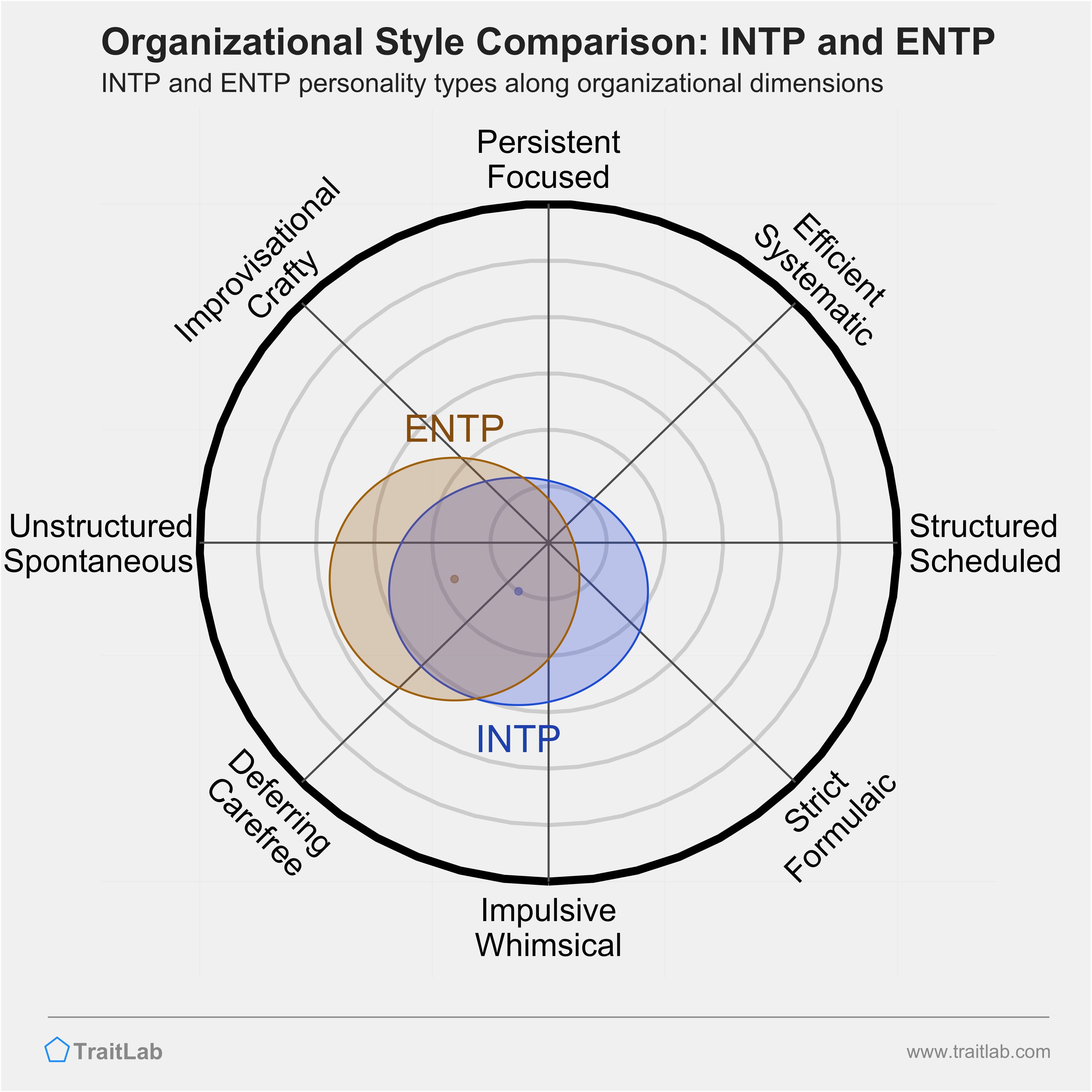 INTP and ENTP comparison across organizational dimensions