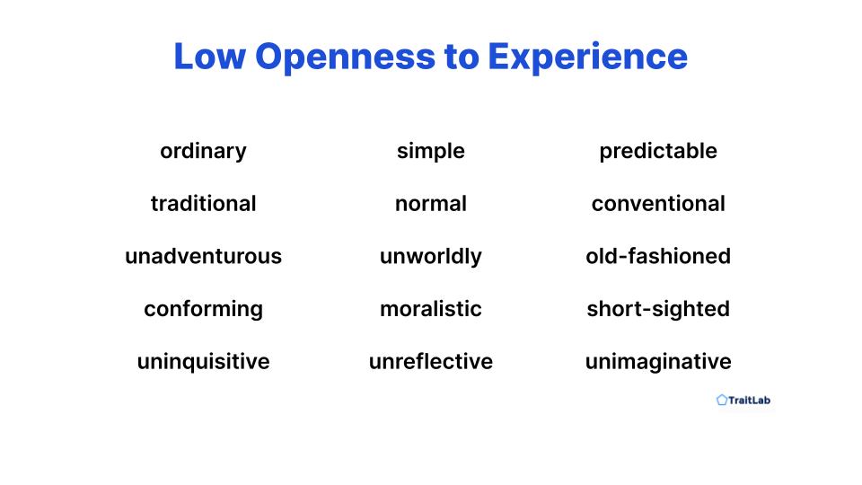 list of words describing low openness to experience or a less open personality